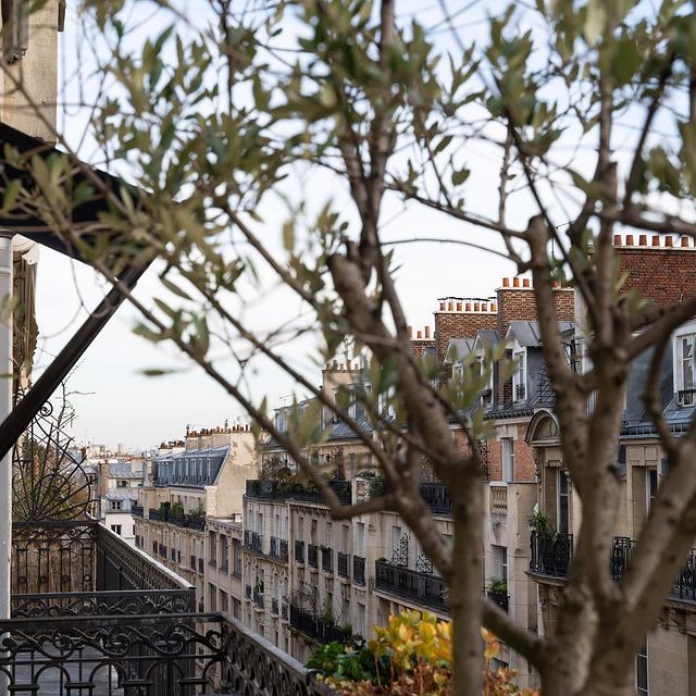 Paris ✨