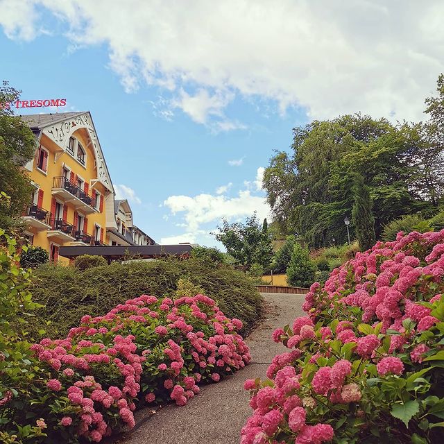 Pour accéder au lac, empruntez l'allée d'hortensias ✨
.
.
.
#lestresoms #hotel #restaurant #spa #bar #lacannecy #annecylake #annecy #savoiemontblanc #ilakeannecy #annecytourisme #annecyfrance #weekend #weekendannecy #villeannecy #hotelannecy #hotelavecvue #cuisine #gastronomie #gastronomiefrancaise #chef #food #fleur #flower #hortensias